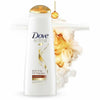 Dove Nutritive Solutions Anti Frizz Shampoo Oil Therapy with Nutri-Oils 12 oz EasyOptionXY LLC