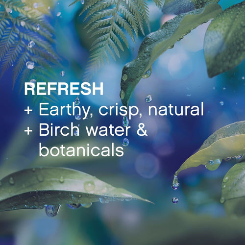 Downy Infusions Fabric Softener Dryer Sheets, Refresh, Birch Water & Botanicals, 160 Ct EasyOptionXY LLC