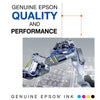 EPSON 252 DURABrite Ultra Ink Standard Capacity Black Dual Cartridge Pack (T252120-D2) Works with WorkForce WF-3620, WF-3640, WF-7110, WF-7610, WF-7620, WF-7710, WF-7720, WF-7210 EasyOptionXY LLC
