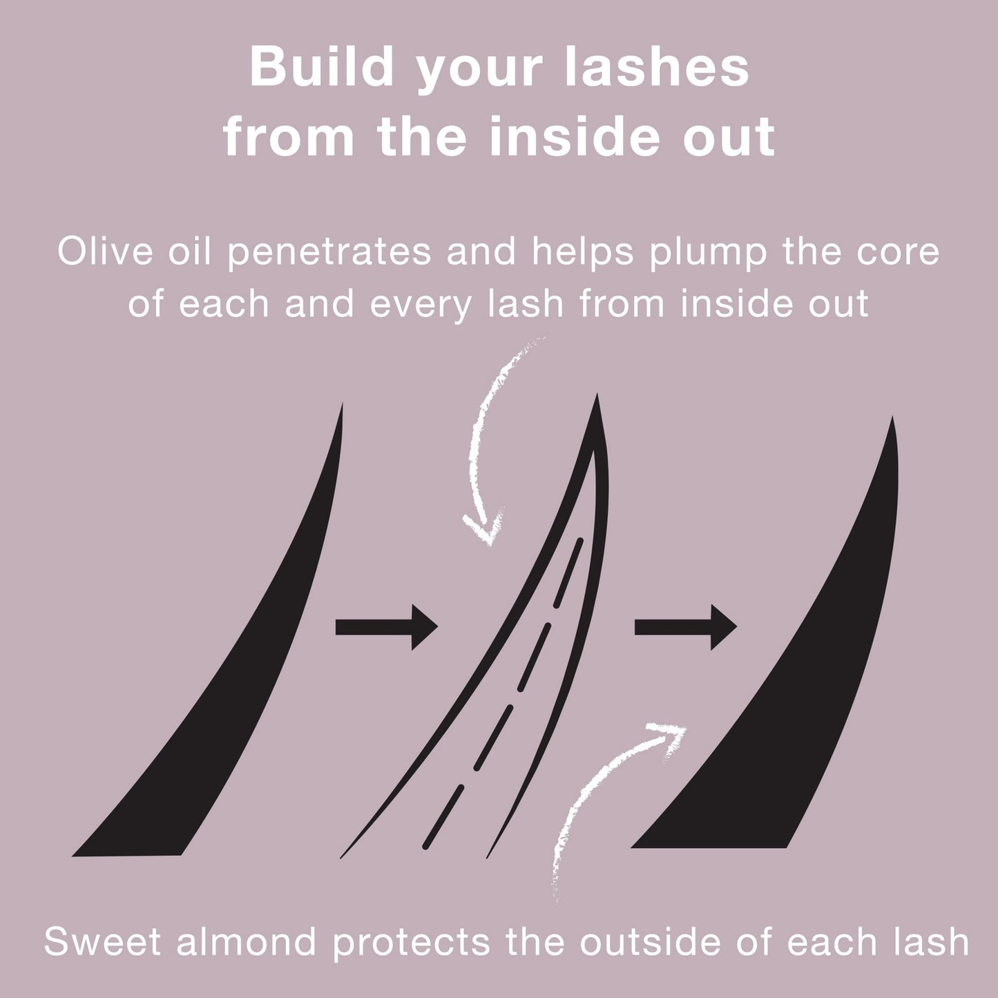 Neutrogena Healthy Volume Lash-Plumping Mascara, Black/Brown, 0.21 oz EasyOptionXY LLC