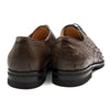 Zelli Italia Zelli Italia 23-538-BRN ANDREA Ostrich Quill Lace Up, Brown