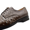 Zelli Italia Zelli Italia 23-538-BRN ANDREA Ostrich Quill Lace Up, Brown