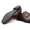 Zelli Italia Zelli Italia 23-538-BRN ANDREA Ostrich Quill Lace Up, Brown