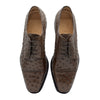 Zelli Italia Zelli Italia 23-538-BRN ANDREA Ostrich Quill Lace Up, Brown