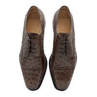 Zelli Italia Zelli Italia 23-538-BRN ANDREA Ostrich Quill Lace Up, Brown