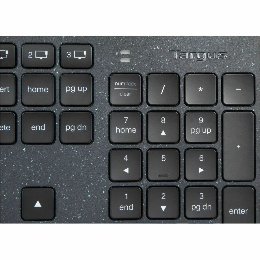 230396232.jpg
