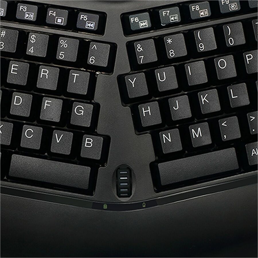 230451868.jpg