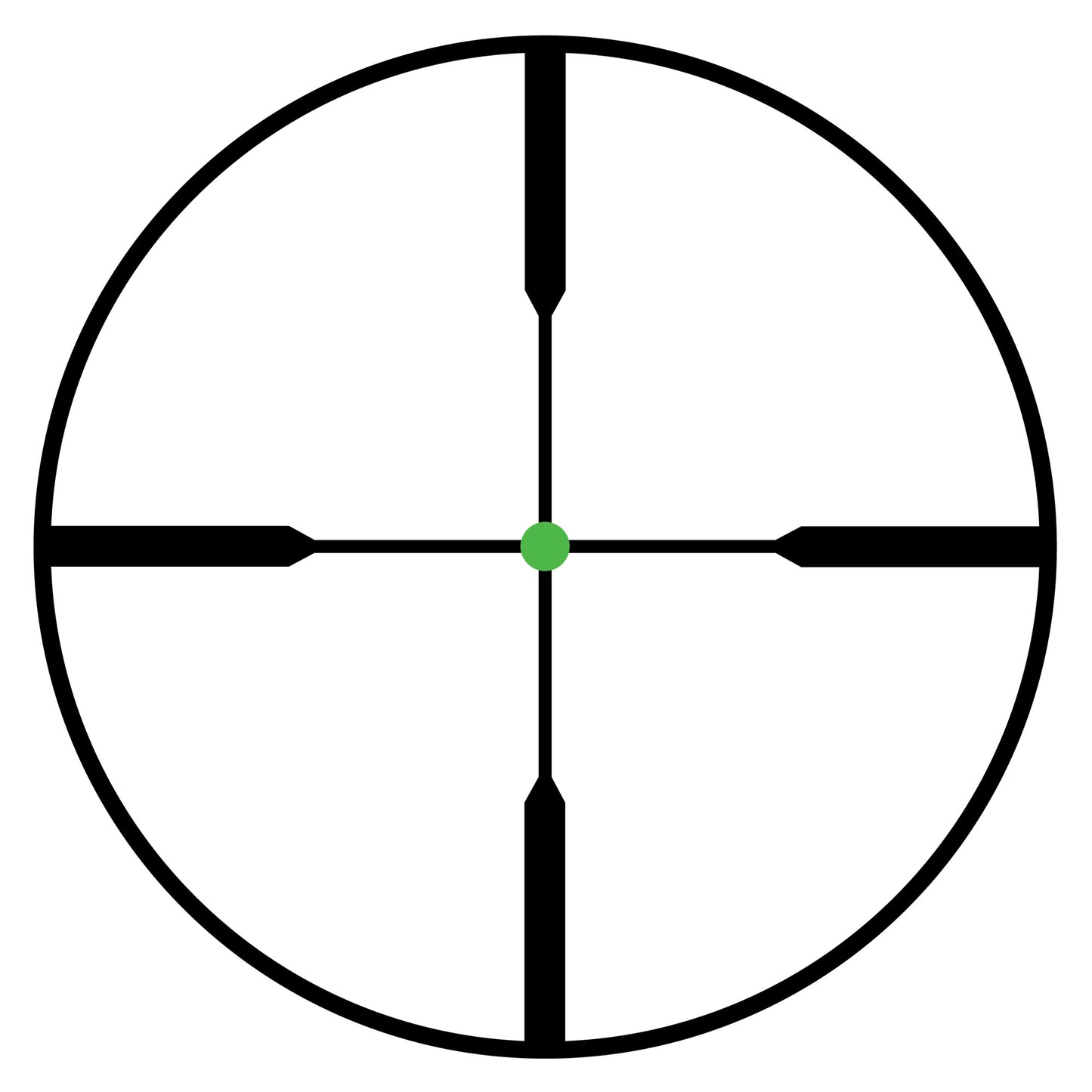 230462311.jpg