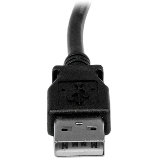 230594691.jpg