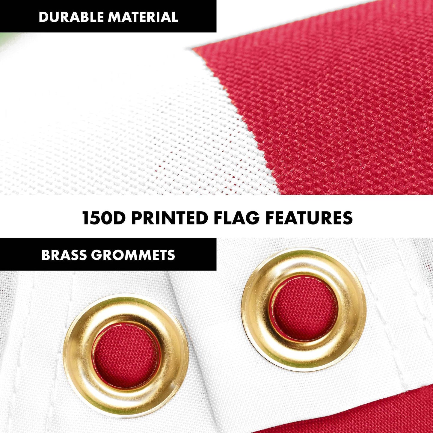 230658505.jpg