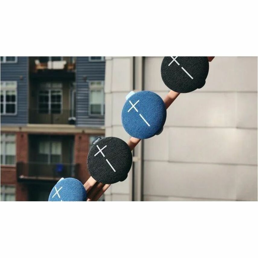 231190209.jpg