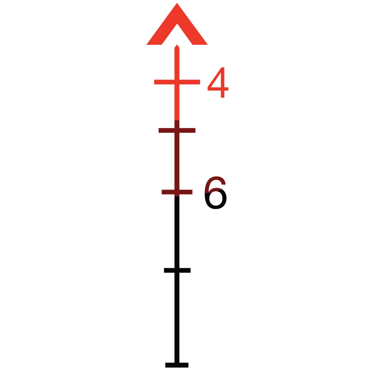 231335152.jpg