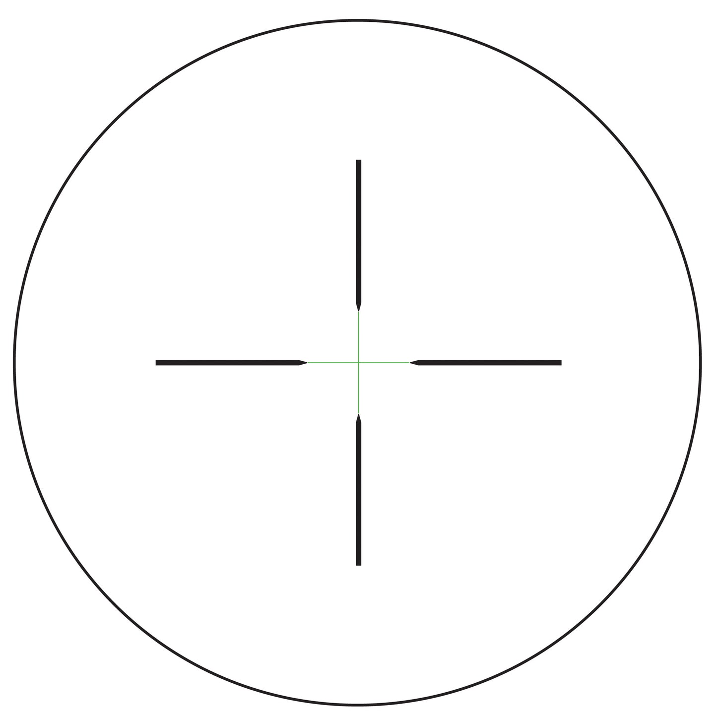 231341547.jpg