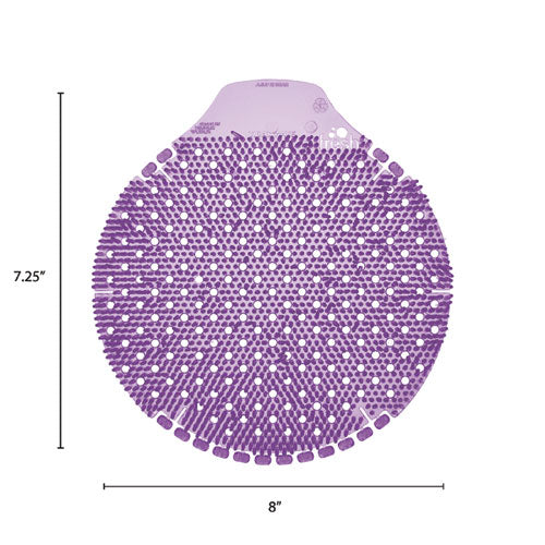 238233320.jpg