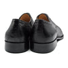 Zelli Italia Zelli Italia 24-526-BLK GIOVANNI Teju Lizard Lace Up, Black