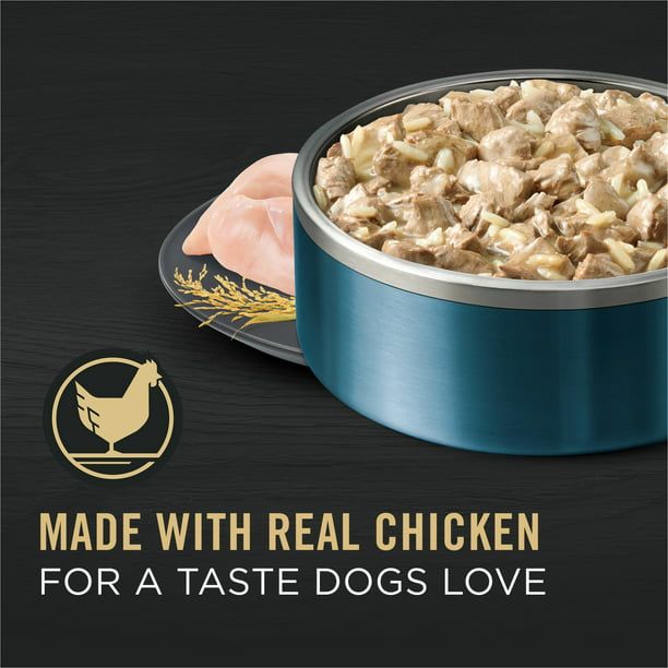 Purina Pro Plan Chunks in Gravy Wet Dog Food for Adult Dogs Chicken, 13 oz Cans (12 Pack) EasyOptionXY LLC