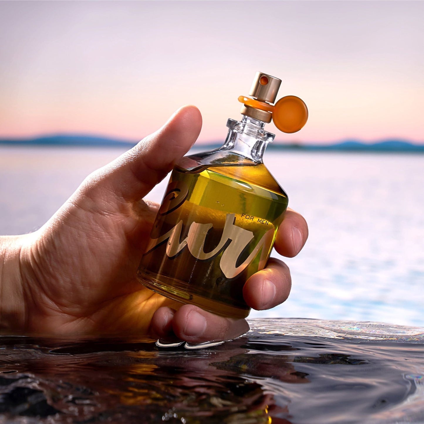 Curve Eau De Toilette, Cologne For Men, 4.2 Oz EasyOptionXY LLC