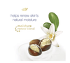 Dove Pampering Shea Butter with Warm Vanilla Body Wash 22 fl. Oz. (2 Count) EasyOptionXY LLC