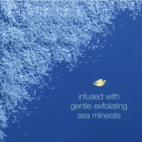 Dove Body Wash Gentle Exfoliating Cleanser 22 oz; 2 Count EasyOptionXY LLC