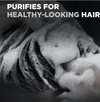 Dove Men+Care Charcoal Thickening Daily Shampoo; 20.4 fl oz EasyOptionXY LLC