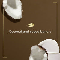 Dove Restoring Coconut and Cocoa Butter Body Wash 24 fl oz EasyOptionXY LLC