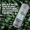 Dove Men+Care Body Wash and Face Wash Blue Eucalyptus + Birch 18 oz EasyOptionXY LLC