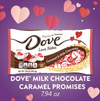 Dove Promises Love Notes Caramel Milk Chocolate Valentine Candy - 7.94 oz EasyOptionXY LLC