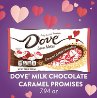 Dove Promises Love Notes Caramel Milk Chocolate Valentine Candy - 7.94 oz EasyOptionXY LLC
