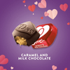 Dove Promises Love Notes Caramel Milk Chocolate Valentine Candy - 7.94 oz EasyOptionXY LLC