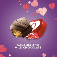 Dove Promises Love Notes Caramel Milk Chocolate Valentine Candy - 7.94 oz EasyOptionXY LLC