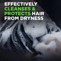 Dove Men+Care Fresh Clean 2-in-1 Shampoo and Conditioner with Caffeine and Menthol, 12 fl oz EasyOptionXY LLC