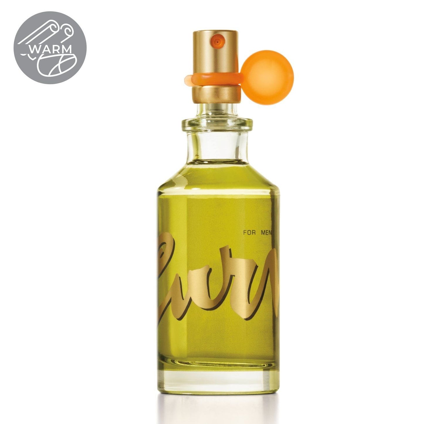 Curve Pour Homme Spray, Cologne for Men, 1.0 oz EasyOptionXY LLC