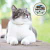 Dr. Pol Incredi-Pol Favorites Crunchy Shell/Creamy Center Chicken Flavor Cat Treats, 5 oz. Bag EasyOptionXY LLC
