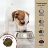Dr. Pol Healthy Balance Limited Ingredient Grain-Free Salmon Recipe Adult Dry Dog Food for All Breeds, Ages and Sizes of Dogs, 4 lb. Bag EasyOptionXY LLC