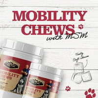 Dr. Pol Mobility Chews with MSM - Glucosamine for Dogs 100 Count EasyOptionXY LLC