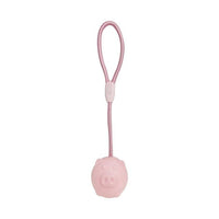 Dr. Pol Loop Knotted Rope Tug With Pig Shaped TPR Ball Dog Toy EasyOptionXY LLC