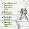 Dr. Pol Aloe Oatmeal Shampoo for Dogs & Cats 16 oz EasyOptionXY LLC