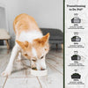 Dr. Pol Incredi-Pol Favorites Lamb and Brown Rice Recipe Dog Food - 6lb EasyOptionXY LLC