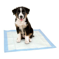 Dr. Pol Ultra-Absorbent Fresh Scent Training Pads - 100 Count - 22x22 EasyOptionXY LLC