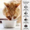 Dr. Pol Incredi-Pol Favorites Indoor Cat and Kitten Chicken and Brown Rice Recipe Cat Food - 18lb EasyOptionXY LLC