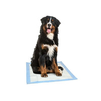 Dr. Pol Ultra-Absorbent X-Large Fresh Scent Training Pads - 100 Count - 30x28 EasyOptionXY LLC