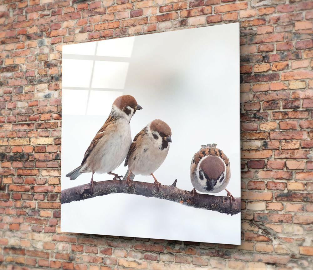 Insigneart USA Insigneart USA Birds Glass Wall Art