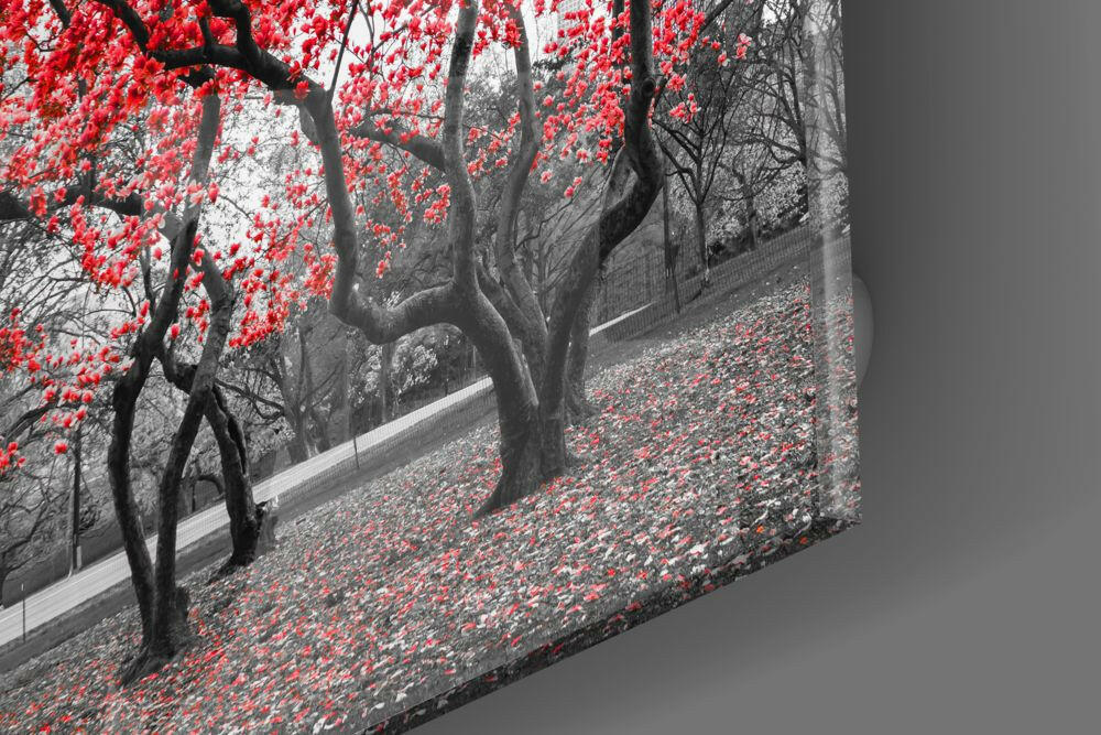 Insigneart USA Insigneart USA Red Tree Glass Wall Art