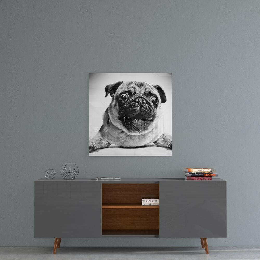 Insigneart USA Insigneart USA Pug Glass Wall Art