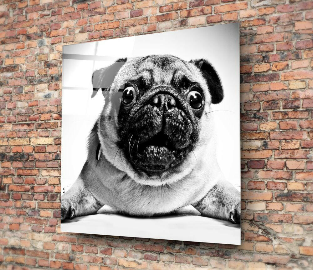 Insigneart USA Insigneart USA Pug Glass Wall Art