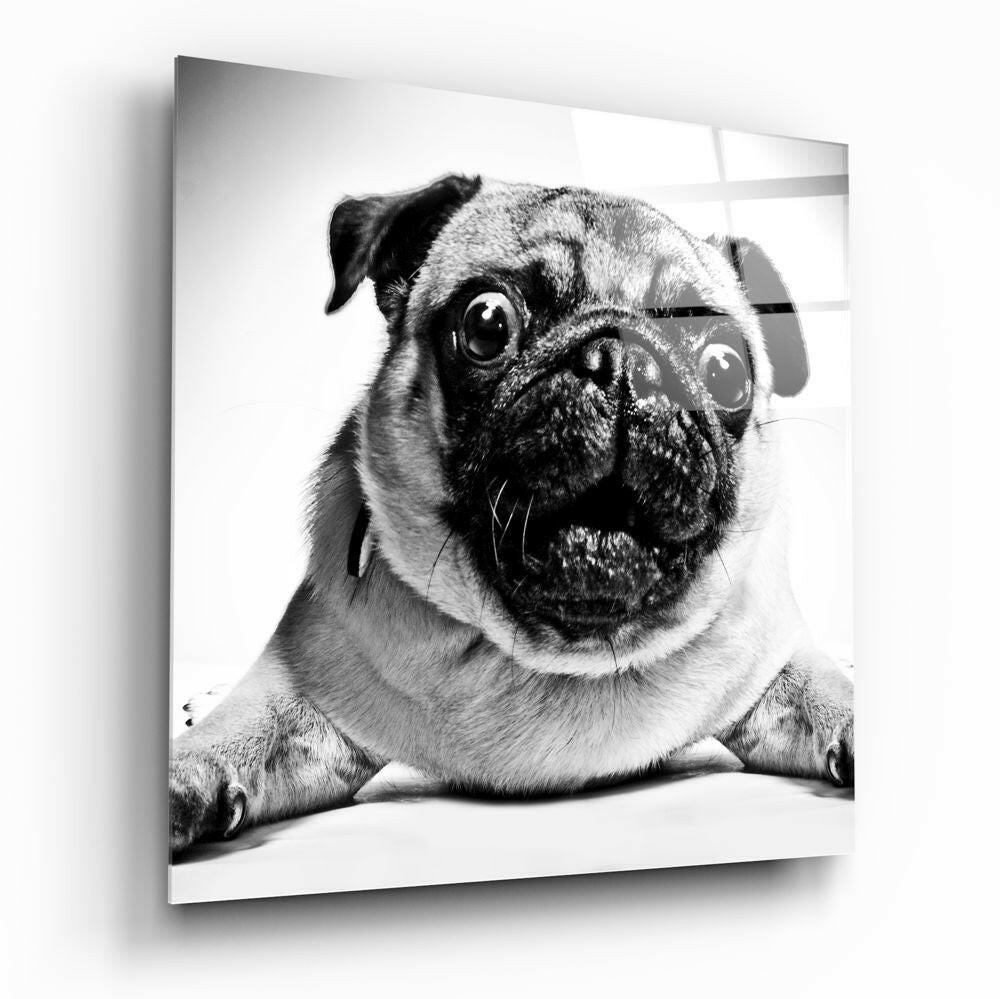 Insigneart USA Insigneart USA Pug Glass Wall Art