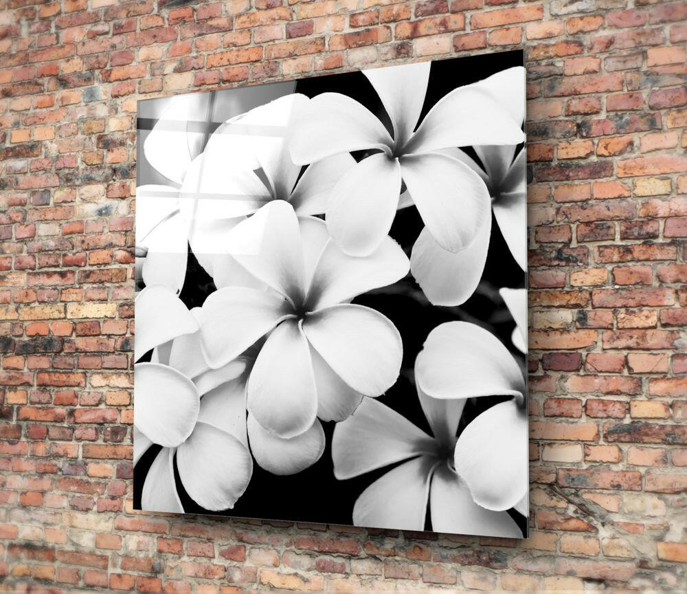 Insigneart USA Insigneart USA Black and White Flowers Glass Wall Art