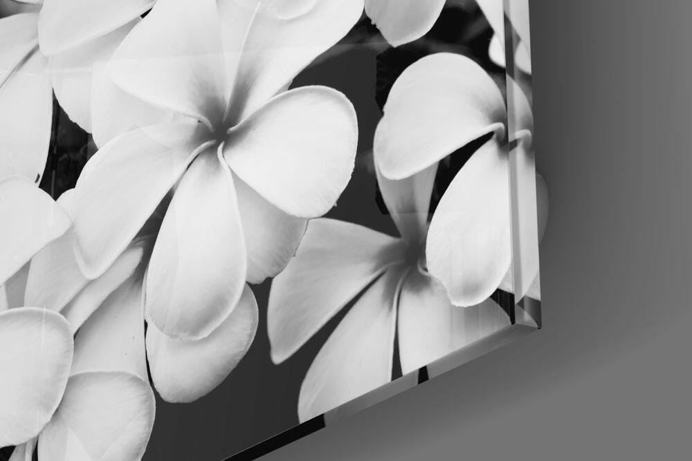 Insigneart USA Insigneart USA Black and White Flowers Glass Wall Art
