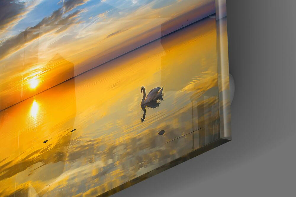 Insigneart USA Insigneart USA Sunset Glass Wall Art
