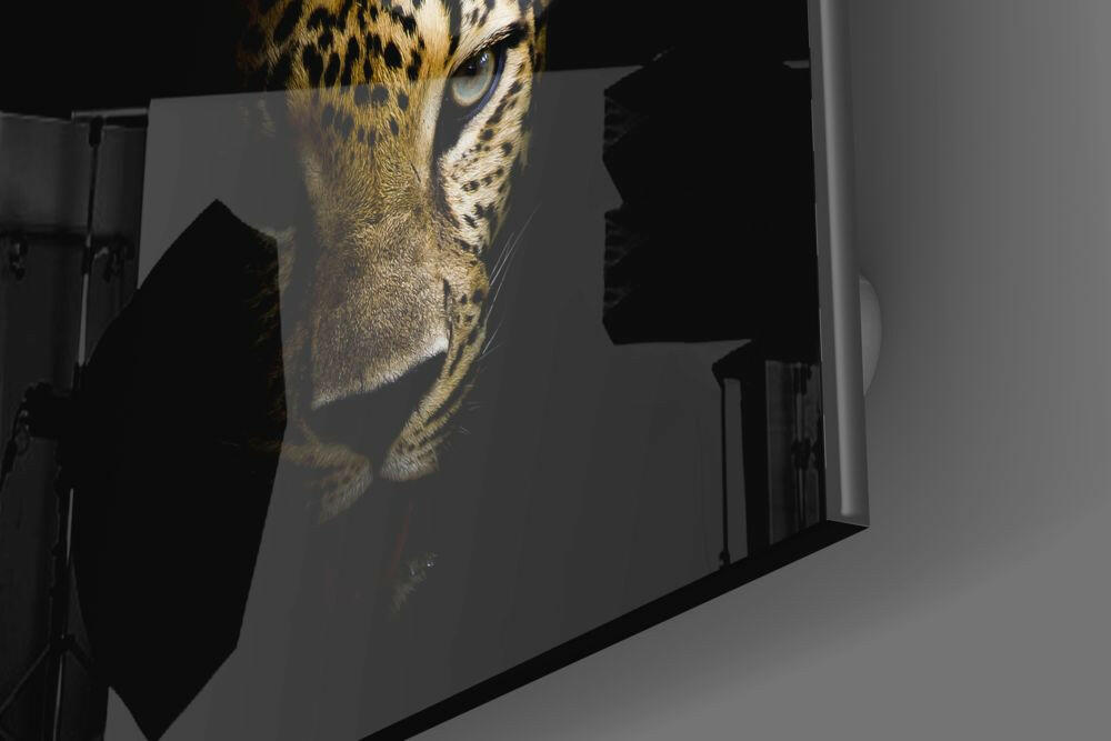 Insigneart USA Insigneart USA Leopard Glass Wall Art
